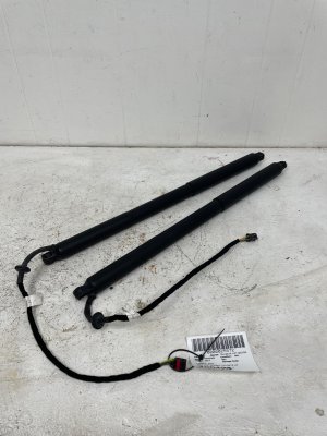 2017-2023 Porsche Panamera Tailgate Liftgate Support Strut Set (Used OEM)