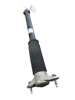  Tesla Model 3 Suspension Shock Absorber - Rear (Used OEM)