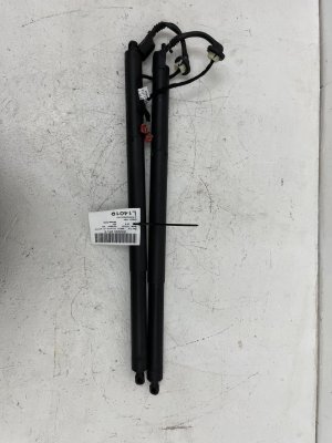 2018-2024 Lincoln Navigator Black Power Tailgate Lift Cylinder Actuator Set - Rear, Left (Driver) (Used OEM)