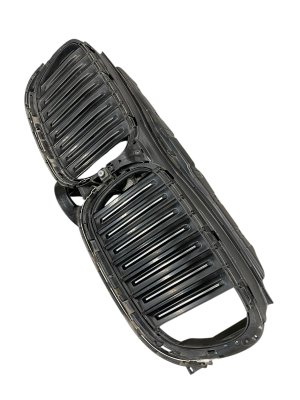 2016-2019 BMW 740i Active Grille Shutter with Camera - Front (Used OEM)