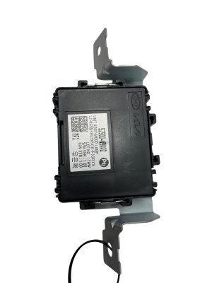 2024-2025 Hyundai Santa Cruz Mood Lamp and Courtesy Light Control Module (Used OEM)