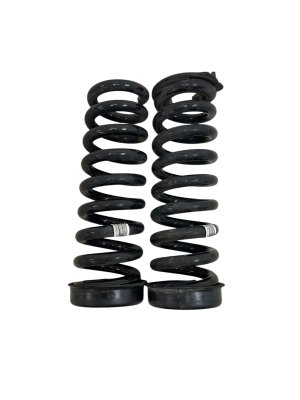 2015-2020 BMW M4 Suspension Coil Spring Pair - Rear (Used OEM)