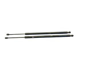 2017-2024 Chrysler Pacifica Hatchback Liftgate Lift Support Set - Rear (Used OEM)