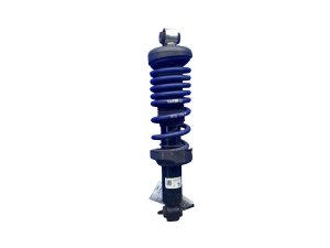 2017-2023 Audi R8 Suspension Strut Assembly with H&R Spring - Rear, Right (Passenger) (Used OEM)