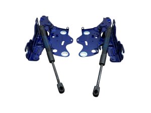  BMW X5 m Hood Hinge Set with Support Lift Cylinders - Front, Left (Driver) (Used OEM)