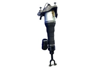2004-2006 Volkswagen Phaeton Air Suspension Strut Assembly - Front, Right (Passenger) (Used OEM)