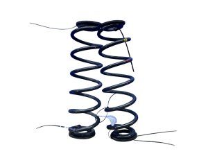 2019-2024 Lexus UX250h Suspension Coil Spring Set - Rear (Used OEM)