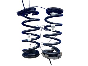  Tesla Model 3 Suspension Coil Spring Set - Rear (Used OEM)