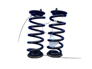 2022-2025 Audi RS3 Suspension Coil Spring Set - Rear (Used OEM)