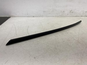 2022-2025 Honda Civic Exterior Door Molding Trim Garnish - Front, Right (Passenger) (Used OEM)