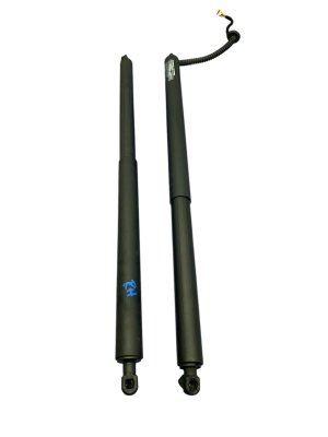 2022-2024 Hyundai Ioniq 5 Power Liftgate Cylinder Strut Set (Used OEM)