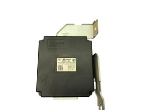 2022-2024 Hyundai Ioniq 5 Door Auto Flush Control Module (Used OEM)