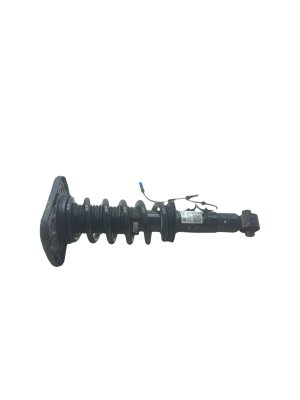 2020-2025 BMW X6 Adaptive Suspension Strut and Coil Spring Assembly - Rear, Left (Driver) (Used OEM)