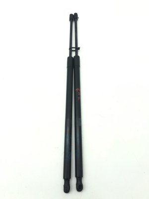2019-2022 Lexus UX250h Manual Liftgate Lift Support Strut Set - Rear (Used OEM)
