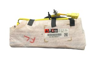 2025 Nissan Murano Front Seat Air Bag (Used OEM)