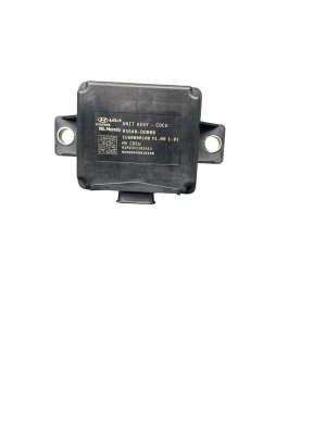 2024-2025 Kia EV9 Chassis Domain Control Module (Used OEM)