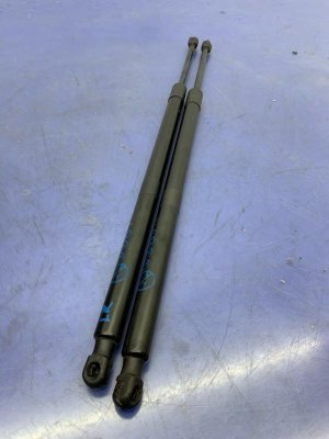 2021-2023 Ford Bronco Sport Trunk Liftgate Lift Support Strut Rod Set - Rear (Used OEM)