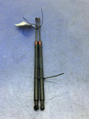2014-2020 BMW i8 Hatch Lift Support Strut Set - Rear (Used OEM)