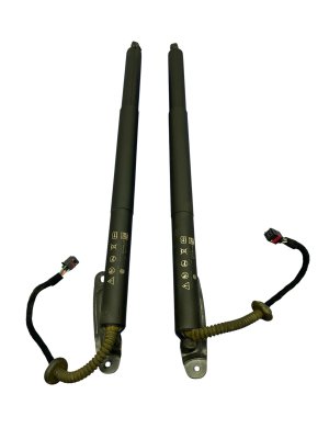 2022-2025 Volkswagen Atlas Power Tailgate Lift Motor Strut Set - Rear (Used OEM)