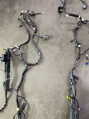 2021-2025 Ford Mustang Mach-E Cabin Floor Frame Chassis Wiring Harness (Used OEM)