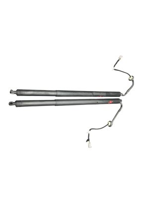 2018-2024 Lincoln Navigator Power Tailgate Lift Cylinder Strut Set - Rear (Used OEM)