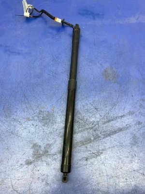 OEM Manual Hatchback Liftgate Lift Support for 2016-2018 Honda Pilot - Rear, Left (Driver) (OEM)