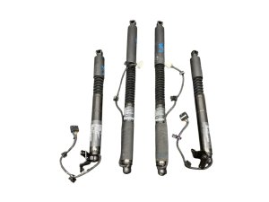  Tesla Model x Falcon Wing Door Power Liftgate Strut Set - Rear (Used OEM)
