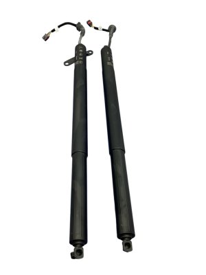 2022-2025 Audi Q4 e-tron Tailgate Lift Motor Strut Set - Rear (Used OEM)
