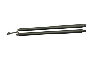 2025-2026 Acura ADX Power Liftgate Lift Support Strut Set - Rear (Used OEM)