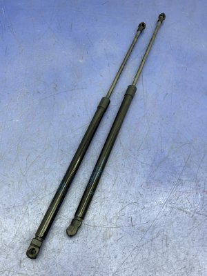 2018-2021 Nissan Kicks Liftgate Lift Support Strut Set - Left (Driver) (Used OEM)