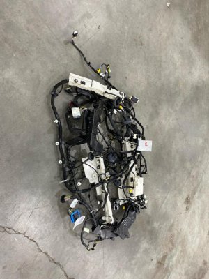 2021-2025 Ford Bronco Sport Main Cabin Body Wiring Harness (Used OEM)