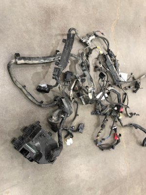 2019-2021 Genesis G70 Engine Compartment Wiring Harness - Front (Used OEM)