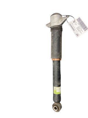 2022-2024 Lexus NX250 Suspension Shock Absorber Strut - Rear (Used OEM)