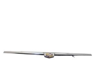 2016-2020 Cadillac CT6 Silver Grille Center Trim Panel - Front (Used OEM)