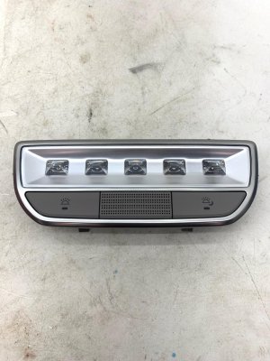 2017-2019 Genesis G90 Interior Overhead Dome and Reading Lamp - Rear (Used OEM)