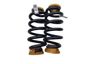 2023-2025 Cadillac LYRIQ Suspension Coil Spring Pair - Rear (Used OEM)