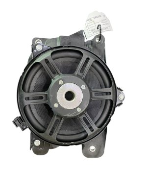 2022-2024 Lucid Air Door Bass Speaker Assembly (Used OEM)
