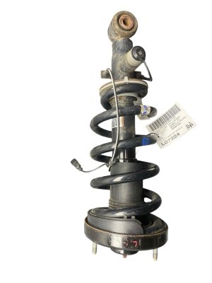 2018-2024 Lincoln Navigator Adaptive Suspension Strut Assembly - Rear, Left (Driver) (Used OEM)