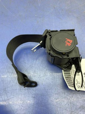 2015-2020 BMW M4 Seat Belt Assembly - Rear, Right (Passenger) (Used OEM)