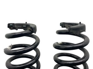 2022-2024 Audi Q4 e-tron Standard Suspension Coil Spring - Rear (Used OEM)