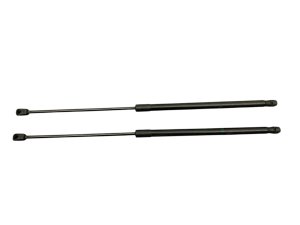2019-2022 Toyota Avalon Hood Lift Support Strut Set - Front (Used OEM)