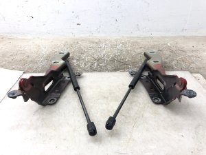 2015-2020 Ford F-150 Hood Hinge with Lift Cylinders - Left (Driver) (Used OEM)