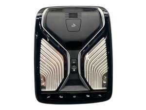 2019-2024 BMW M850i xDrive Overhead Console Dome Light Assembly - Front (Used OEM)