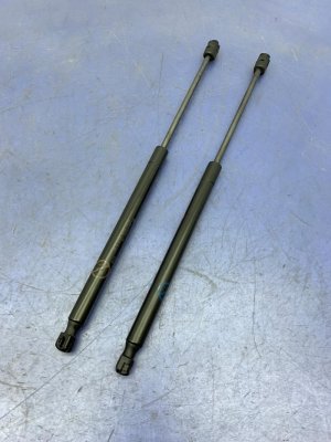 2021-2025 Ford Mustang Mach-E Hood Gas Lift Shock Set - Front (Used OEM)