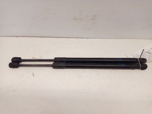 2019-2024 Chevrolet Silverado 1500 Hood Lift Support Pair (Used OEM)
