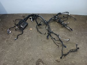 2017-2019 Nissan Qashqai Engine Wiring Harness (Used OEM)