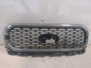 2021-2023 Ford F-150 Gray Mesh Grille with Painted Surround (Used OEM)