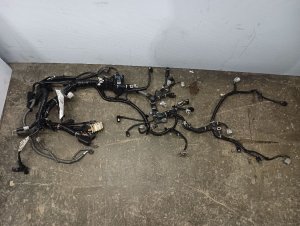 2024 Subaru Crosstrek Engine Wiring Harness (Used OEM)