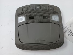 2015-2020 Ford F-150 Gray Roof Console Panel (Used OEM)