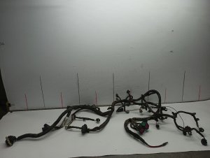 2004 Ford F-550 Super Duty Fuel Injector Wiring Harness (Used OEM)